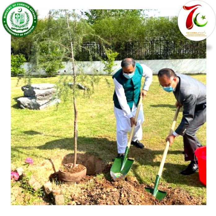 سیکرٹری خارجہ سہیل محمود اور چینی سفیر نے سفارت خانے کے لان میں پاک چین دوستی کا پودا لگایا
