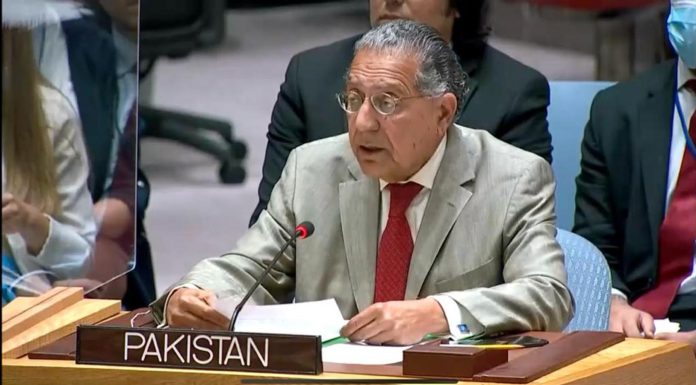 اسرائیل کا مقصد فلسطینی ریاست کے تصور کو ہی مٹانا ہے، اقوام متحدہ میں پاکستان کے مستقل مندوب منیر اکرم کا جنرل اسمبلی میں خطاب
