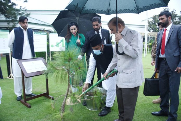 شجرکاری مہم کا آغاز کرنے پر وزیراعظم شہباز شریف کا شکریہ ادا کرتے ہیں، شیری رحمان