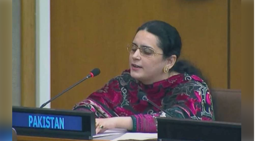 Pakistani representative Saima Saleem