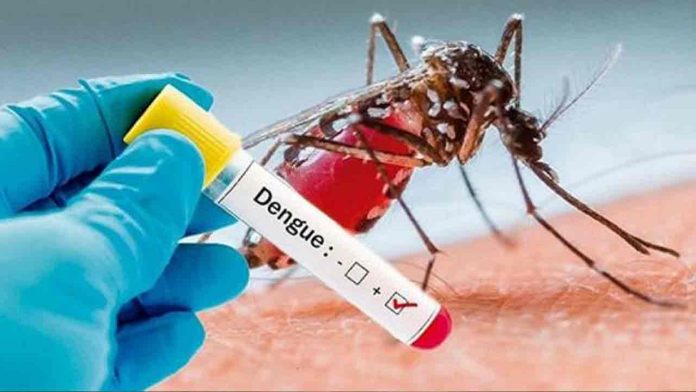 Dengue Awareness Seminar