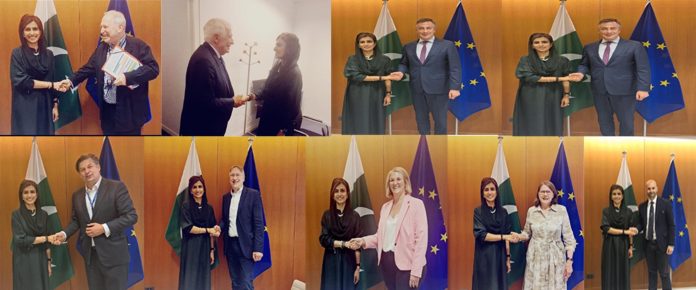 پاکستان اور یورپی یونین کا پارلیمانی تعاون بڑھانے پر اتفاق، وزیر مملکت حنا ربانی کھر کی یورپی یونین کے عہدیداران سے ملاقاتیں