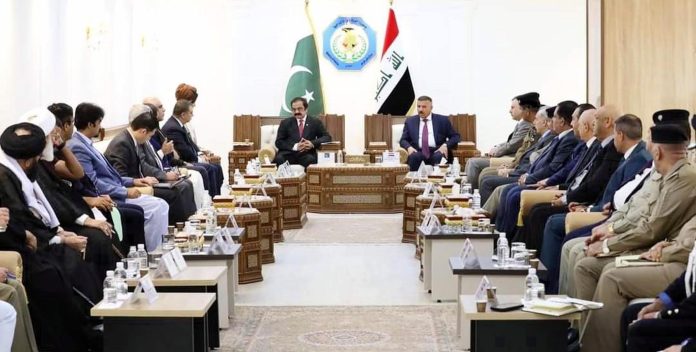 وزیر داخلہ رانا ثناء اللہ
