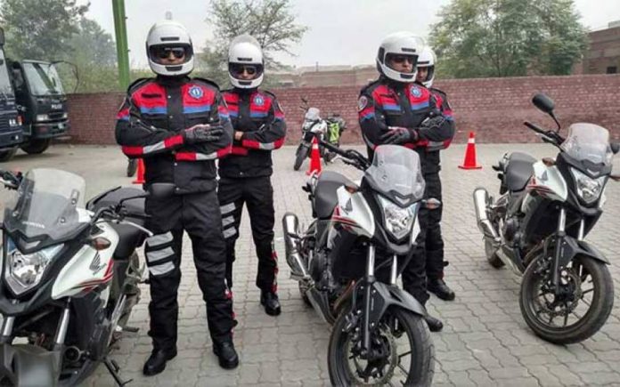 ڈولفن سکواڈ