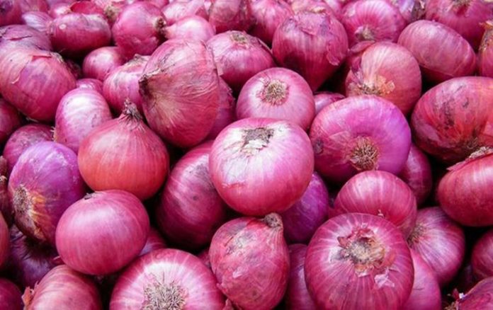 پیاز کی کاشت