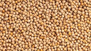 زراعت