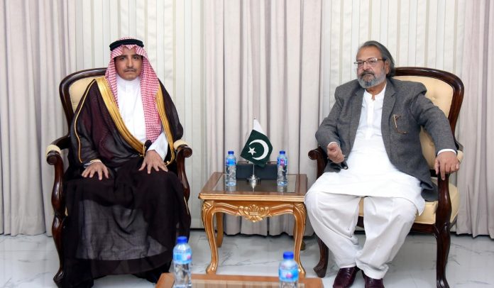 نگراں وفاقی وزیر برائے تعلیم و پیشہ ورانہ تربیت مدد علی سندھی