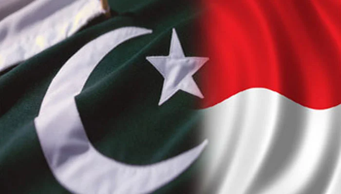 پاکستان اور انڈونیشیا