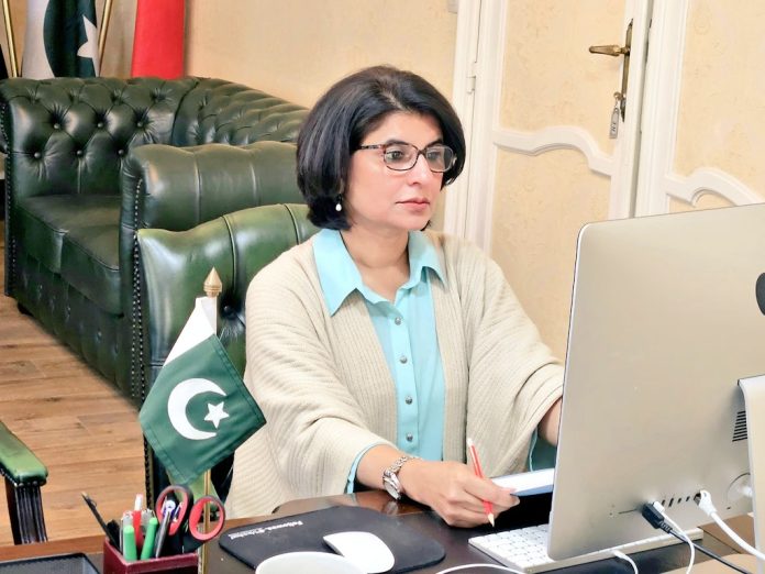 برسلز میں پاکستانی سفارتخانہ کا یورپی یونین کمیشن کے ڈائریکٹوریٹ جنرل آف ریسرچ اینڈ انوویشن کے تعاون سے ہورائزن یورپ گرانٹ سکیم پر معلوماتی سیشن کا انعقاد