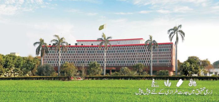 کاشتکاربھنڈی توری کی فصل سال میں 2مرتبہ فروری مارچ اور جون جولائی میں کاشت کرسکتے ہیں،ترجمان آری