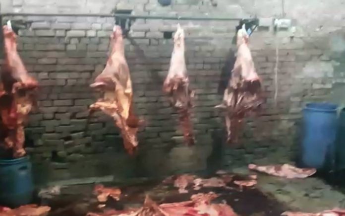 ناقص گوشت