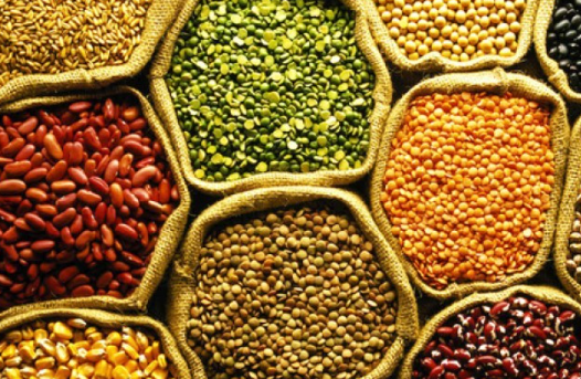 کاشتکار چاول اور گندم کے ساتھ ساتھ دالوں کی کاشت کریں ، ڈاکٹر خالد حسین