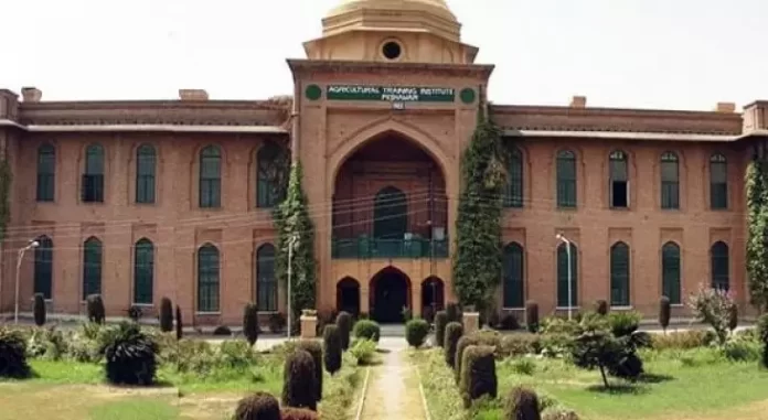 زرعی یونیورسٹی پشاور کے انڈرگریجویٹ ڈگری اور ڈپلومہ پروگراموں کے داخلوں میں 27 اکتوبر تک توسیع