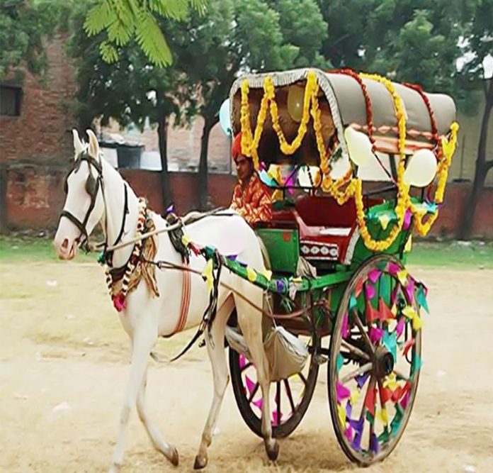 تانگہ