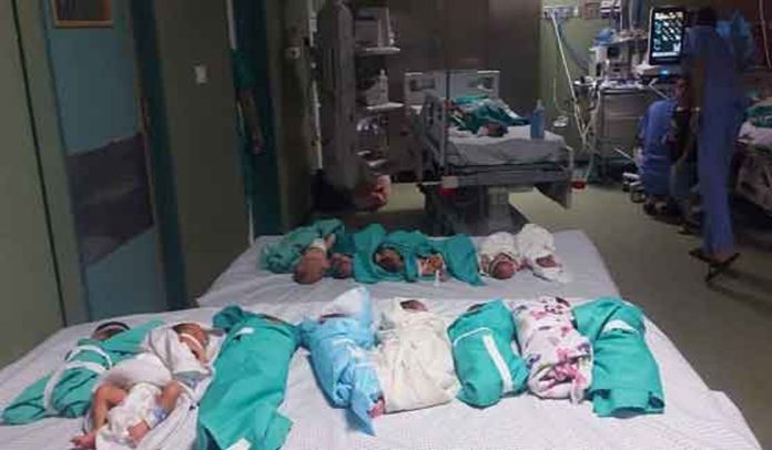 کئی روز محاصرہ کے بعد 41 نومولود بچوں کو الشفا ہسپتال سے نکال لیا گیا ،محمد زقوت
