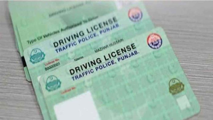 driver liecence