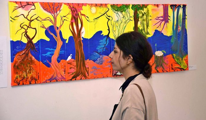 Pakistan National Council of the Arts