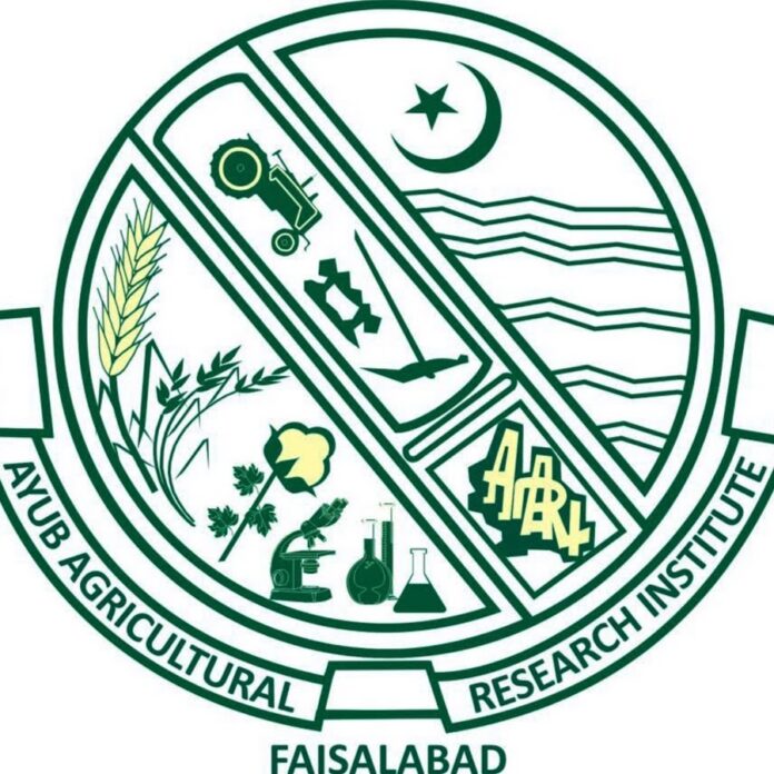 Research Institute Ayub Agricultural Research Institute