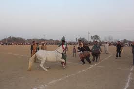 Quaid-e-Azam Sports Festival