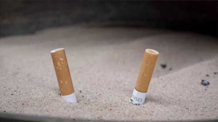 تمباکو نوشی دل کے امراض اور کینسر کا باعث بن سکتی ہے،تمباکو نوشی کے انسداد کے عالمی دن کے موقع پر آگاہی سیشن سے مقررین کا خطاب