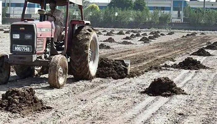 Dung manure