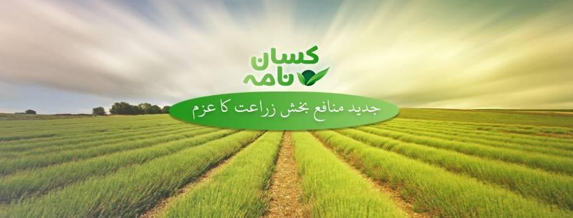 کاشتکاروں کوسپرے کے بعد گوڈی یا بار ہیرو کااستعمال نہ کرنے کی سفارش