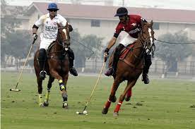 Polo Cup