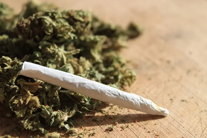 Marijuana