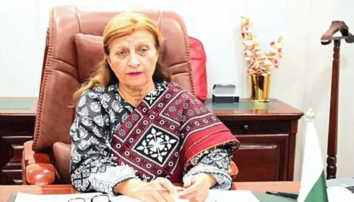 نگران وزیر تعلیم سندھ رعنا حسین سے یونیسیف کے وفد کی ملاقات، سکول سے باہر بچوں کے اعداد و شمار کا ڈیش بورڈ بنانے کا فیصلہ نگران وزیر تعلیم سندھ رعنا حسین سے یونیسیف کے وفد کی ملاقات، سکول سے باہر بچوں کے اعداد و شمار کا ڈیش بورڈ بنانے کا فیصلہ