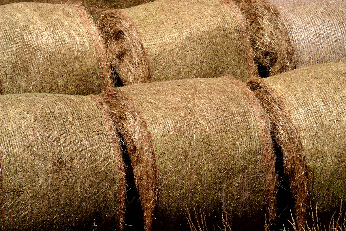 In the cost of straw