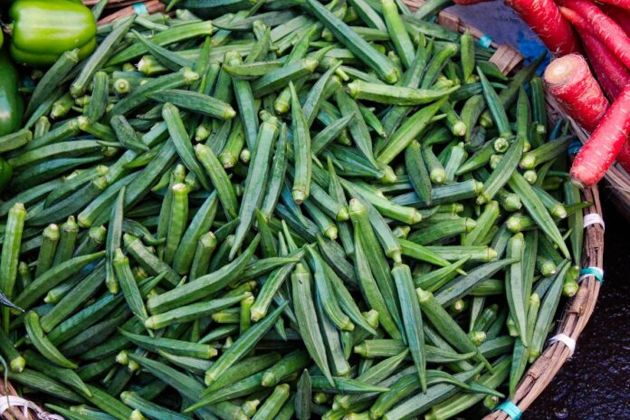 Okra called Green Fairy