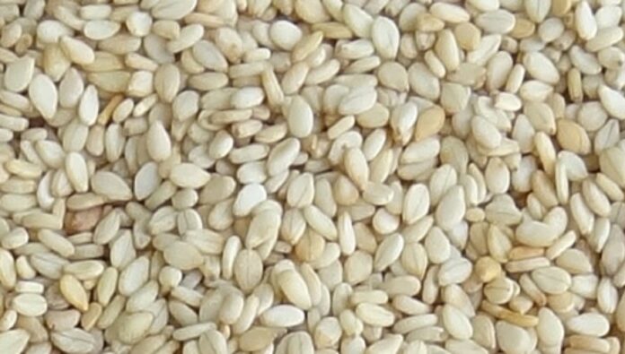Pakistan's sesame seed exports