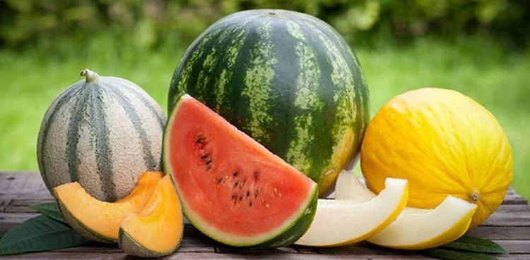 Melon
