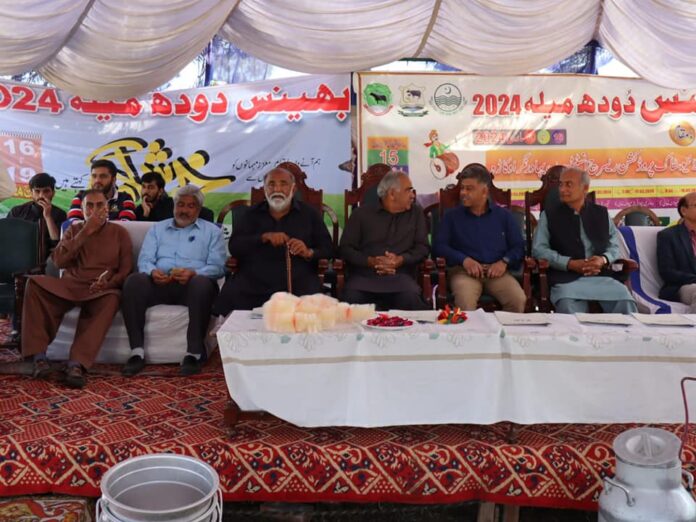 محکمہ لائیوسٹاک کے زیر اہتمام بہادر نگر اوکاڑہ میں بھینس دودھ میلہ دوسرے روز بھی جاری
