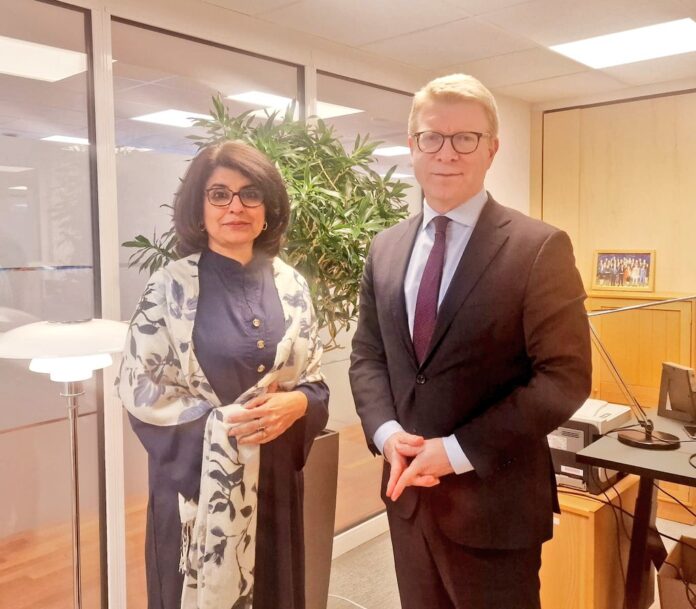 Amna Baloch, Ambassador