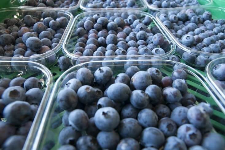Cultivation of berries