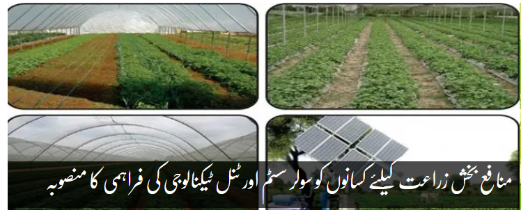 جدید نظام آبپاشی کی تنصیب سے منافع بخش زراعت کو فروغ ملے گا، محکمہ زراعت پنجاب