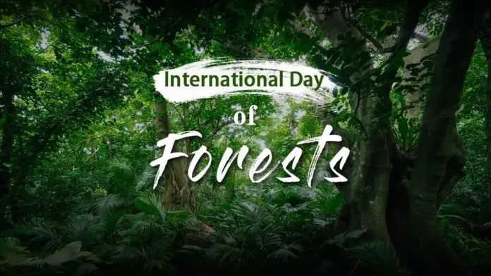 World Day of Forests