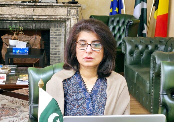Ambassador Amna Baloch