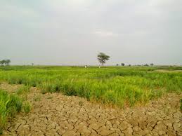 Fertility of lands