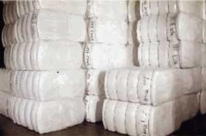 cotton