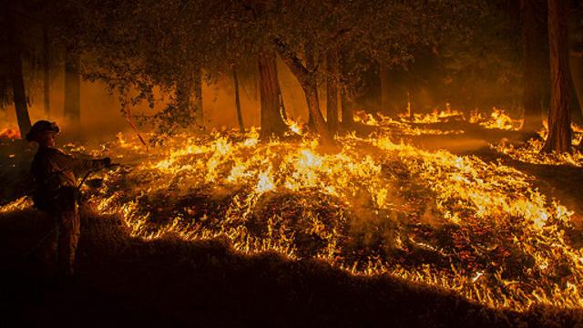 forest fire prevention