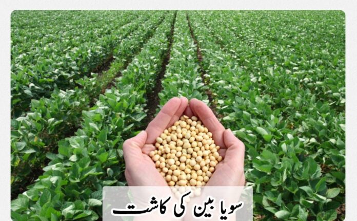 صوبائی وزیر زراعت کی زیر صدارت پاک چین ریسرچ اینڈ ڈویلپمنٹ سینٹر اور ایگری زوننگ پروگرامز کا جائزہ اجلاس