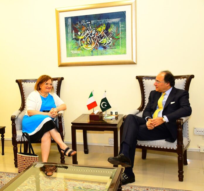 Finance Minister in his meeting with the Italian Ambassador