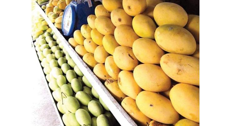 Three-day national mango exhibition