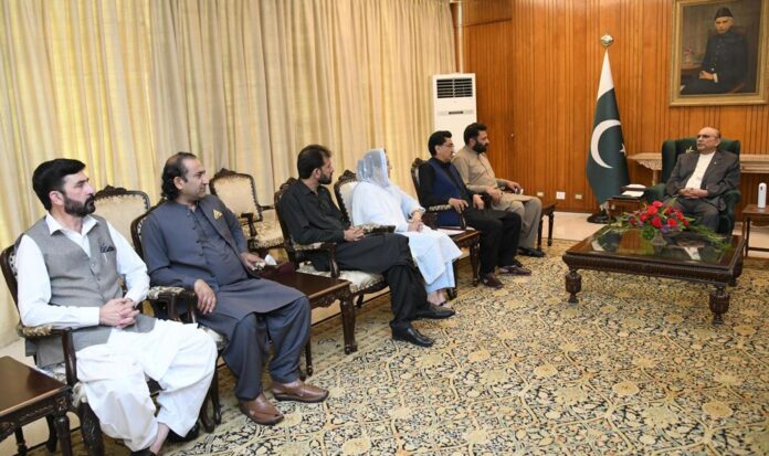 President Asif Ali Zardari