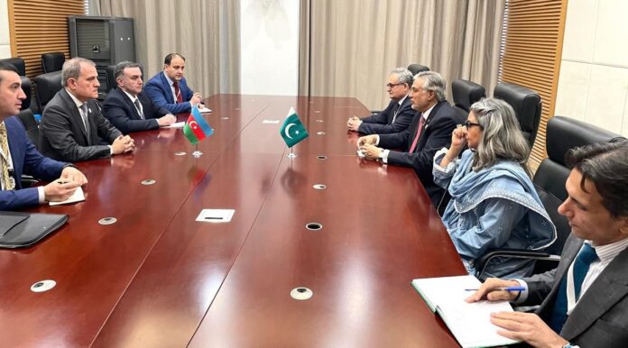 Foreign Minister Ishaq Dar