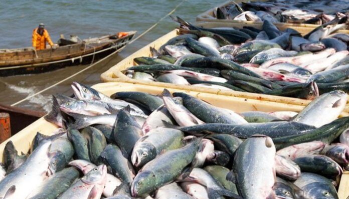 For fisheries