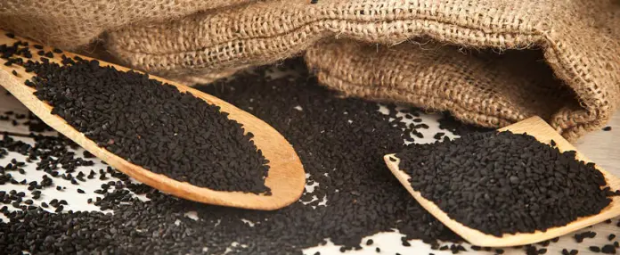 black cumin cultivation