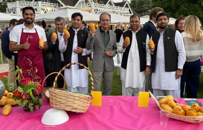 Mango Festival